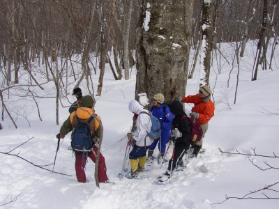 2010　冬の白樺高原体験ツアー　トレッキング